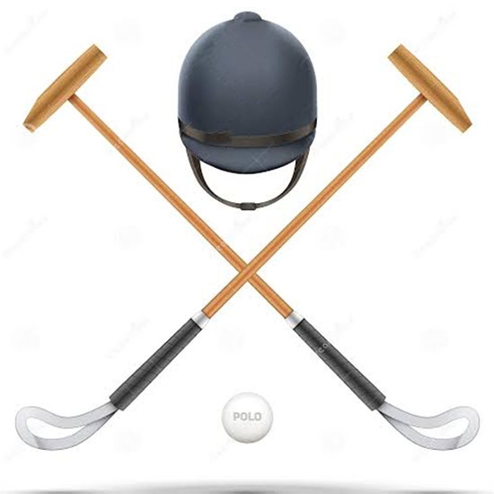 Polo Helmet ,Mallets And Polo Ball